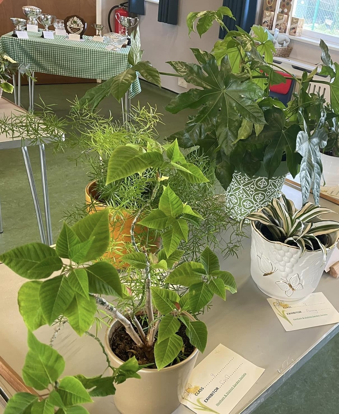 H & D Garden Society