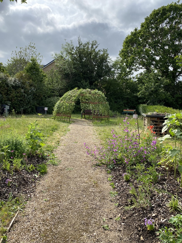 Willow Dome 