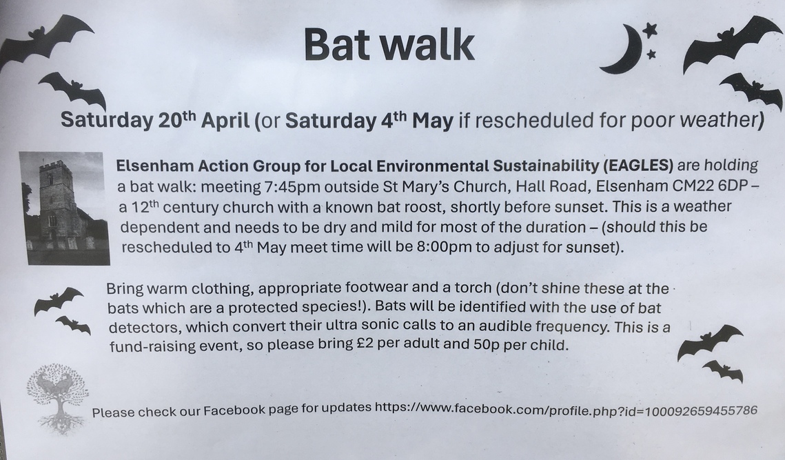 Bat walk 24